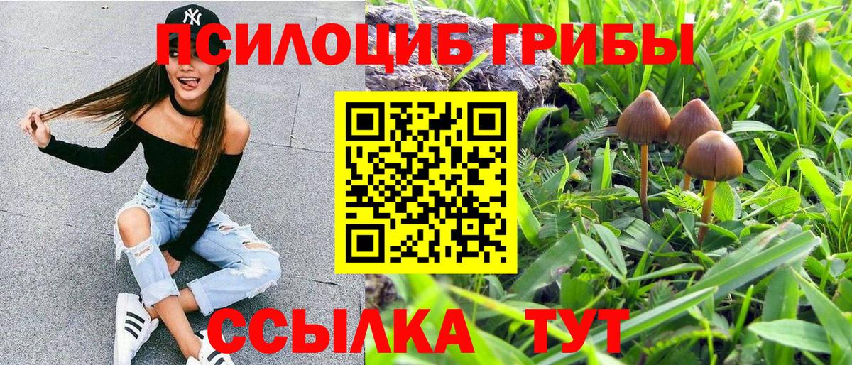 Галлюциногенные грибы мухоморы Волжский