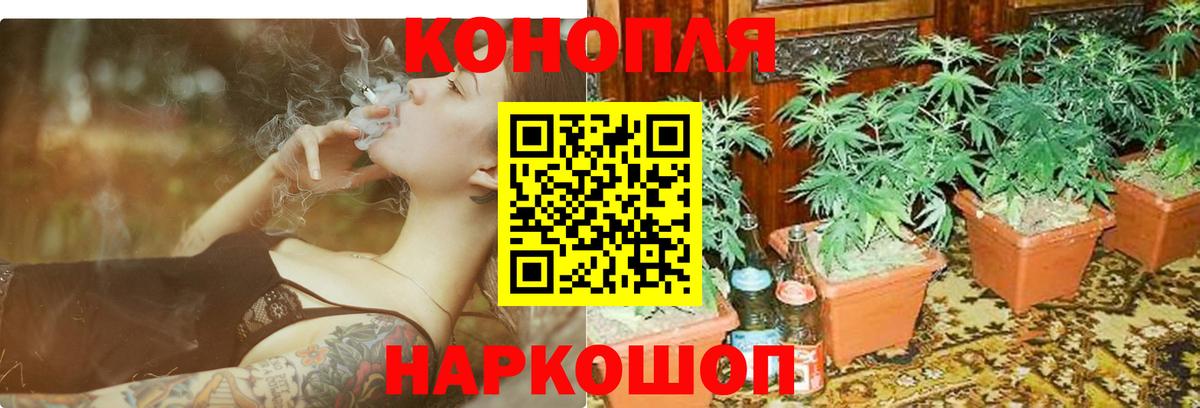 Бошки марихуана Ganja  МАРИХУАНА гибрид  Волжский  Шишки марихуана тримм  Вход с VPN 